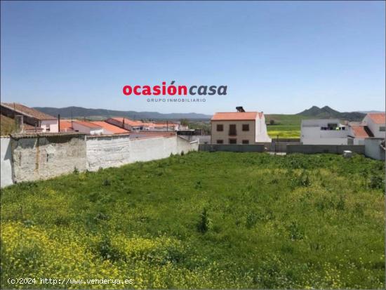 3 SOLARES DE 450 M2 CADA UNO A LA VENTA EN BELMEZ - CORDOBA