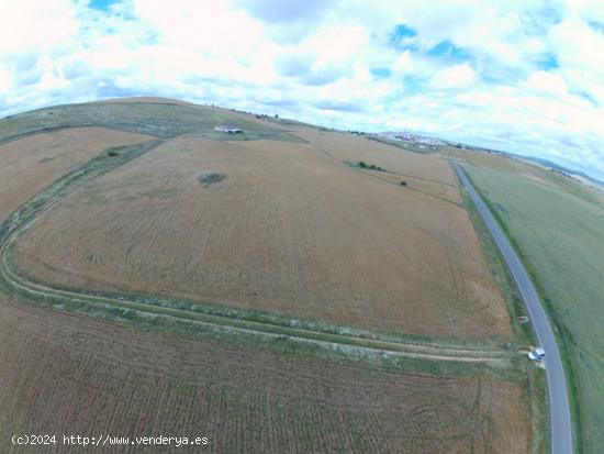 FINCA DE 35 HA A PIE DE CARRETERA EN EL TÉRMINO DE FUENTE OBEJUNA - CORDOBA