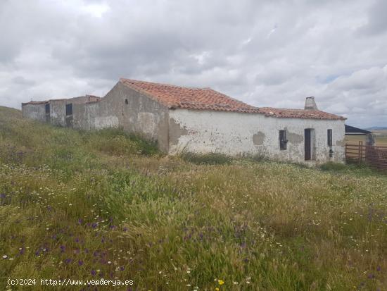 FINCA DE 35 HA A PIE DE CARRETERA EN EL TÉRMINO DE FUENTE OBEJUNA - CORDOBA