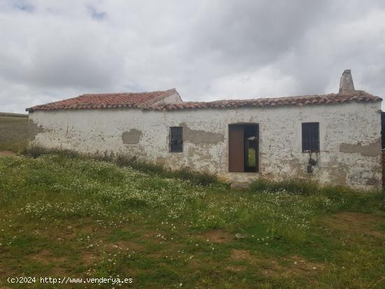 FINCA DE 35 HA A PIE DE CARRETERA EN EL TÉRMINO DE FUENTE OBEJUNA - CORDOBA