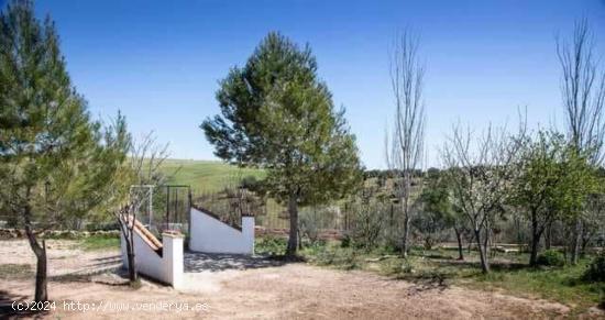 FINCA RÚSTICA JUNTO AL PANTANO DE SIERRA BOYERA - CORDOBA