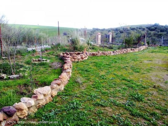 FINCA RÚSTICA JUNTO AL PANTANO DE SIERRA BOYERA - CORDOBA