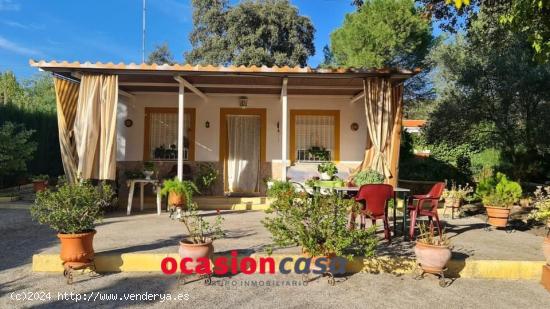  PARCELA CON CASA EN LA ZONA DE VILLAHARTA - CORDOBA 