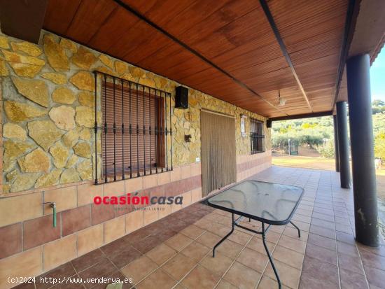 FINCA RÚSTICA CON VIVIENDA EN VILLANUEVA DEL REY - CORDOBA