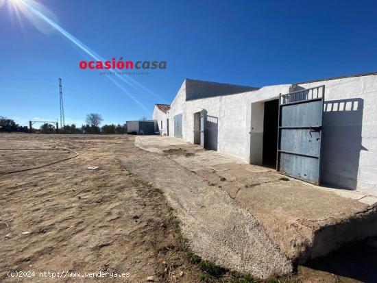 PARCELA CON CASA, NAVES, COCHERA, Y OLIVOS A LA VENTA - CORDOBA