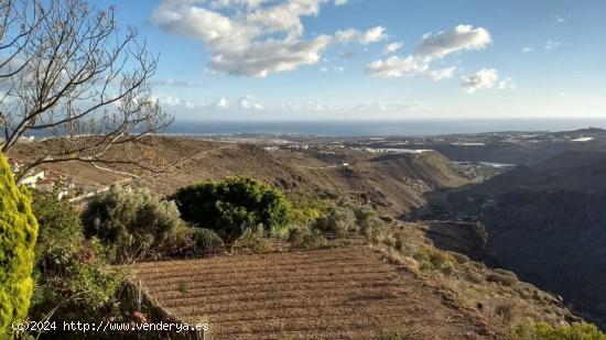 PROPIEDAD EXCLUSIVA EN MASPALOMAS - LAS PALMAS