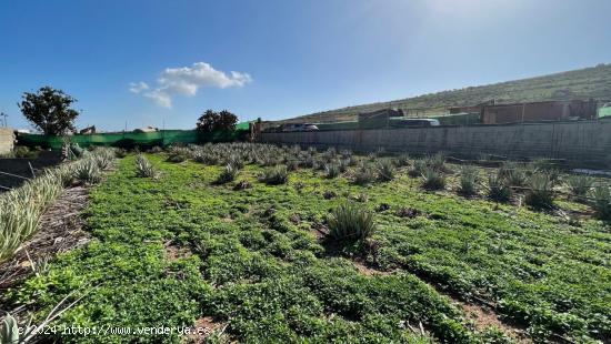 Finca cerca de Vecindario - LAS PALMAS