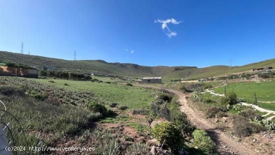 Finca cerca de Vecindario - LAS PALMAS