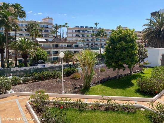 Playa del Inglés , apartamento de 2 dormitorios a 5 minutos de la playa - LAS PALMAS