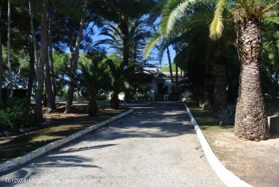 Chalet en Orihuela Costa zona Campoamor, 120.00 m. de superficie, 7210 m. superficie parcela. - ALIC