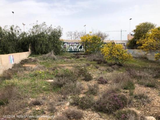 BUENA PARCELA EN TORREVIEJA EN FRENTE  DEL COLEGIO VIRGEN DEL CARMEN - ALICANTE