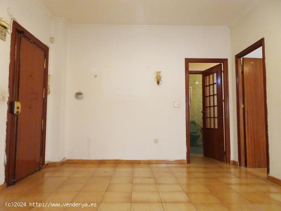 En venta dos pisos en Ciudad Jardín - MALAGA