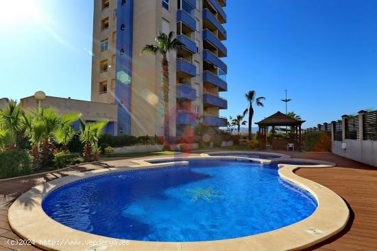 ¡Atico Duplex de 2 dormitorios con espectaculares vistas al mar y a la pinada de Guardamar! - ALICA