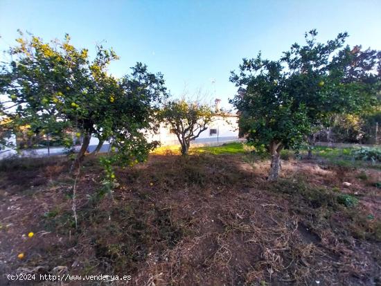 🏠 EXCELENTE PARCELA SEGREGADA JUNTO A LA ZONA DE LAS PALOMAS 🏠 - CADIZ