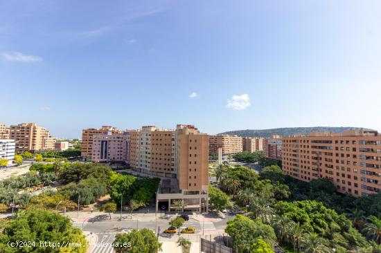 ¡BIENVENIDO AL PARAÍSO EN ALICANTE! - ALICANTE