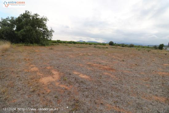 TERRENO RURAL EN SAGUNTO - VALENCIA