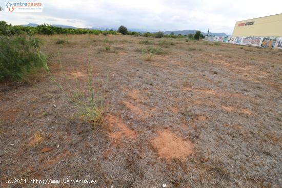 TERRENO RURAL EN SAGUNTO - VALENCIA