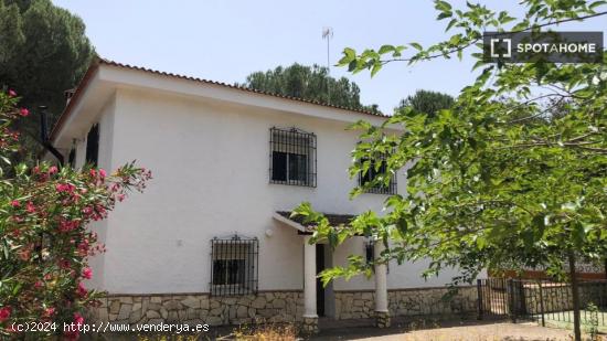 Piso en alquiler de 3 habitaciones en Córdoba - CORDOBA