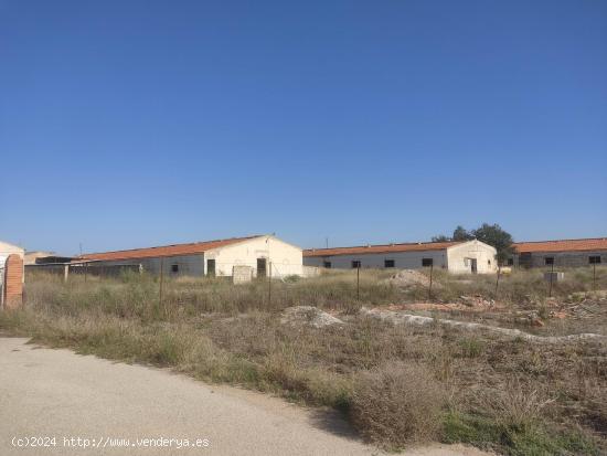 TERRENO URBANO CON VARIAS NAVES EN PARAJE JUNCADAS - ALBACETE