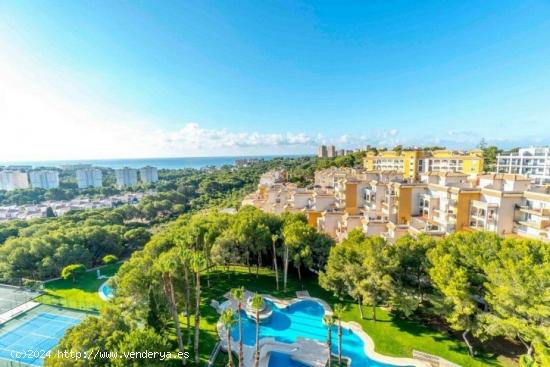 MODERNO APARTAMENTO PLANTA BAJA EN CAMPOAMOR 800M DE LA PLAYA - ALICANTE