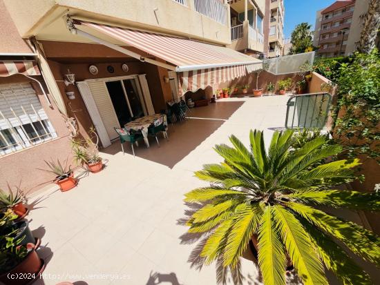 Bajo en Arenales del Sol con gran terraza y piscina - ALICANTE