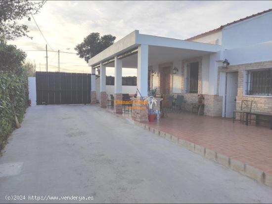 SE VENDE CASA DE CAMPO EN PARTIDA BALSARES !!!!! - ALICANTE