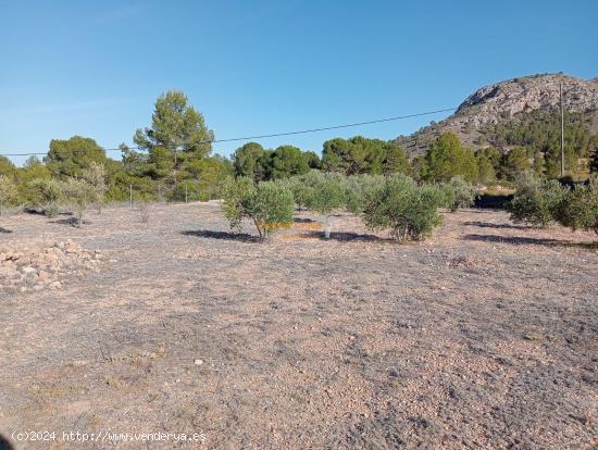 Venta de Parcela de 2400 m² con Casa de Madera y almacen en La Romaneta!!!!! vivir en la  Montaña 