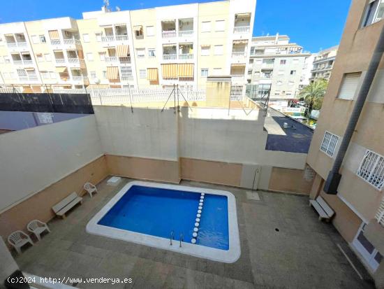 CÓMODO APARTAMENTO CON PISCINA COMUNITARIA EN EL CENTRO DE TORREVIEJA! - ALICANTE