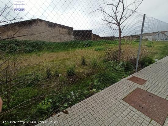 Terreno en la zona de la corchera - BADAJOZ