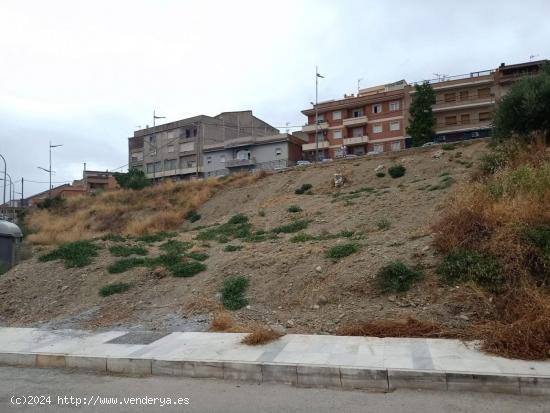 TERRENO URBANO EN OLULA DEL RÍO, ALMERÍA. - ALMERIA