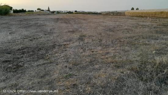 Terreno en la Carretera de Chipiona - CADIZ