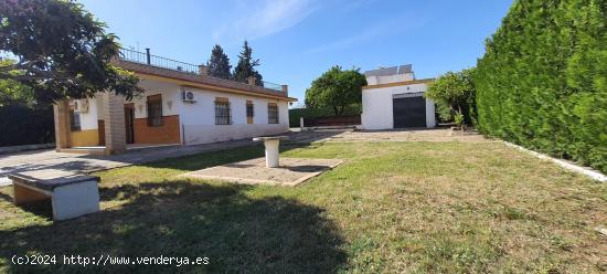 CHALET INDEPENDIENTE DE UNA SOLA PLANTA CON PISCINA - SEVILLA