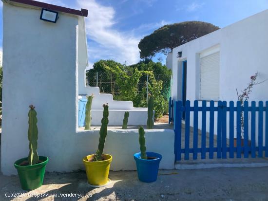 PARCELA RÚSTICA EN PROINDIVISO EN LA ZONA DEL SOTO - CADIZ