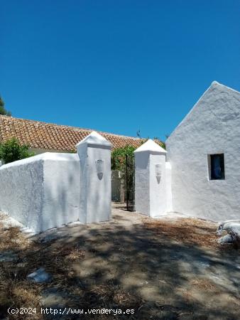 Finca rural con terreno para animales. - CADIZ