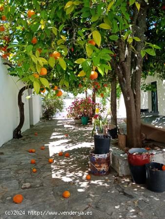 Finca rural con terreno para animales. - CADIZ