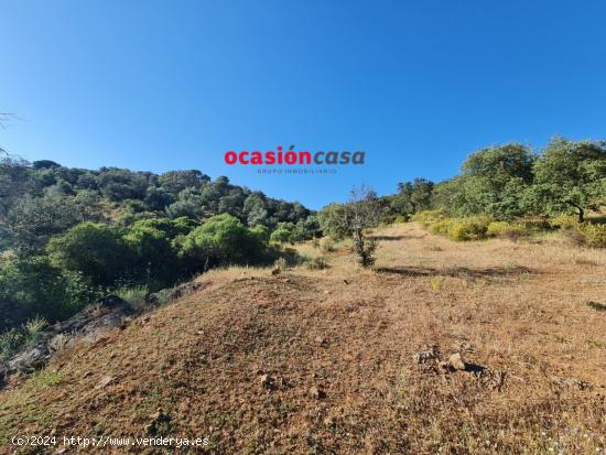 FINCA DE OLIVOS-ENCINAS CON VIVIENDA Y ABUNDANTE AGUA - CORDOBA