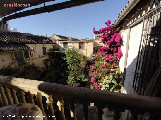 Preciosidad en San Agustín. - CORDOBA