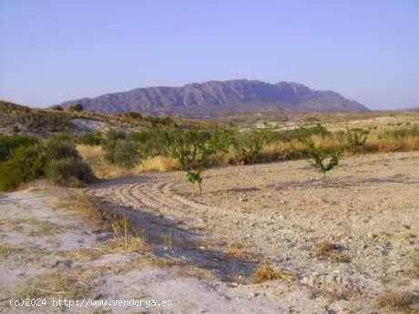 Se Vende en Calasparra - MURCIA