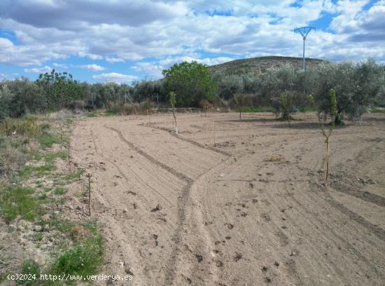 Se Vende en Calasparra - MURCIA