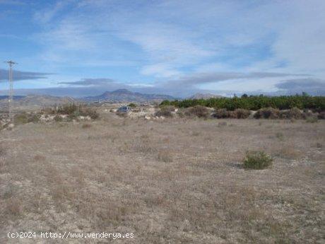 +SUELO RUSTICO A 100M DE LA CARRETERA DE MOLINA A FORTUNA++ - MURCIA