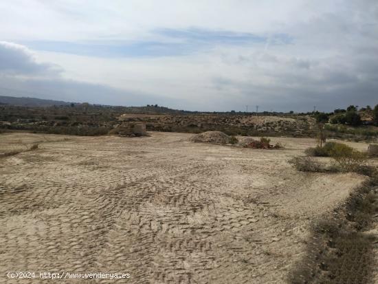 +SUELO RUSTICO A 100M DE LA CARRETERA DE MOLINA A FORTUNA++ - MURCIA