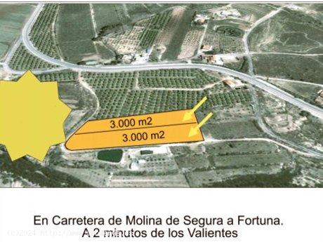 +SUELO RUSTICO A 100M DE LA CARRETERA DE MOLINA A FORTUNA++ - MURCIA