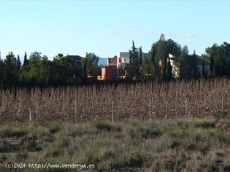 ++SOLAR INCLUIDO EN PLAN PARCIAL URBANIZACION LA BARRACA+ - MURCIA