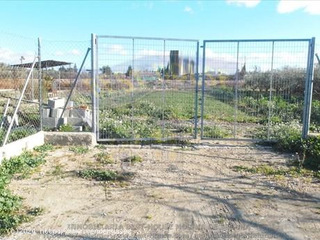 ++TERRENO AGRARIO, VALLADO, CON OLIVOS Y MELOCOTONEROS A 5 MINUTOS DE MOLINA DE SEGURA+ - MURCIA