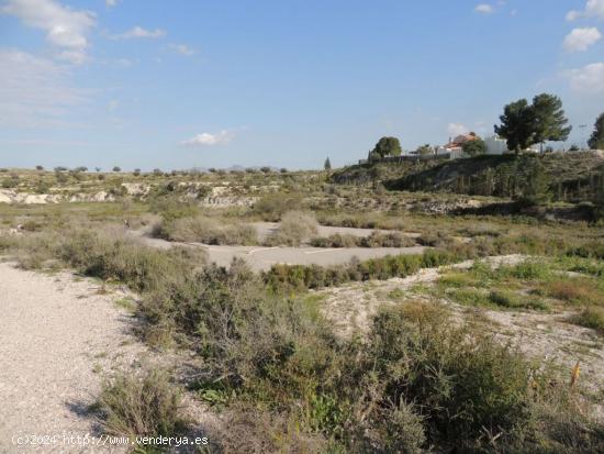 ++Terreno no urbano en carretera de molina de segura a fortuna, primera linea de carretera++ - MURCI