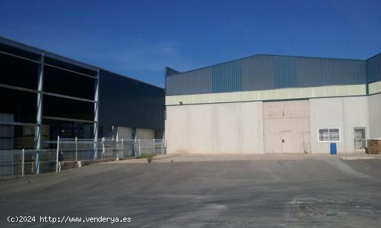 ++VENTA NAVE INDUSTRIAL EN POLÍGONO INDUSTRIAL LA SERRETA++ - MURCIA