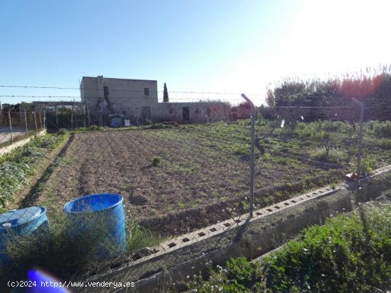 ++Terreno rustico en Molina de Segura zona Huerta,++ 1118 m - MURCIA