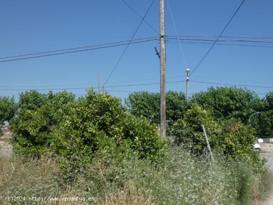 ++Terreno urbanizable en Alguazas, 1000 m. superficie parcela.+ - MURCIA