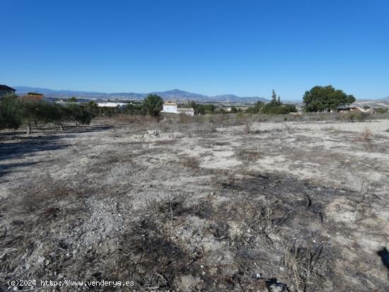 ++Terreno no urbano en Molina de Segura zona El romeral++, 2000 m - MURCIA