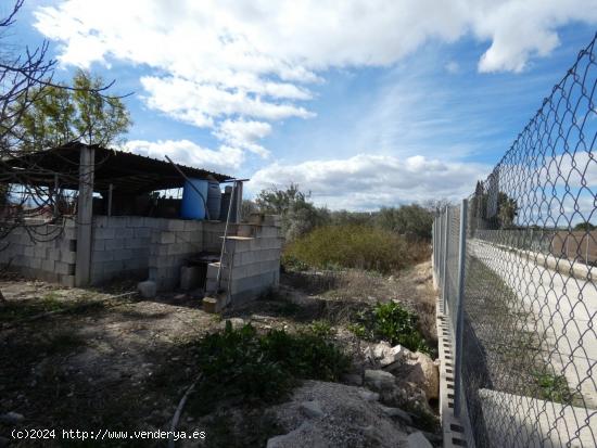 ++Terreno urbano especial huerta en Molina de Segura zona Huerta++, 3700 m - MURCIA